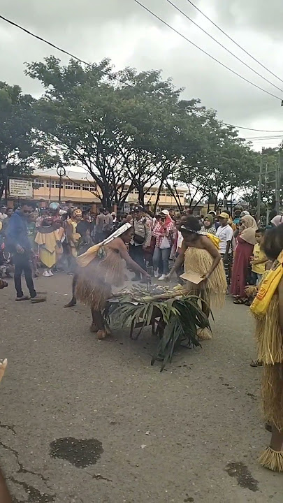 tarian dan budaya di karnaval Nabire Papua