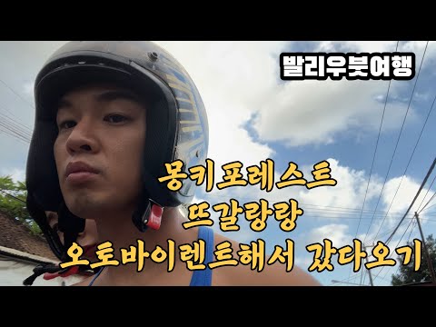 발리)우붓)몽키포레스트)뜨갈랑랑)오토바이렌트 7박8일 7일차