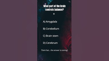 Only 5% Know This!🧠 What Part of Brain Controls Balance? #shorts #trivia