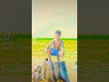 الجيزه فوق فوق في العالي 