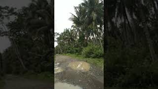 My Life Everyday As A Credit Collector.