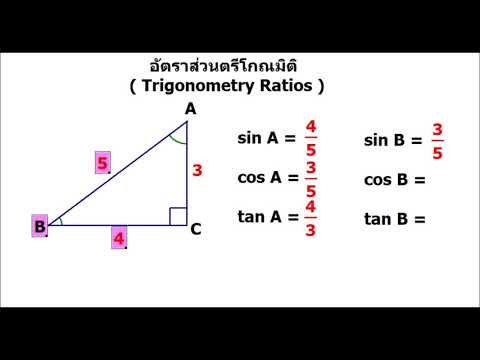 อัตราส่วนตรีโกณมิติ ม.ต้น (Trigonometry Ratios)