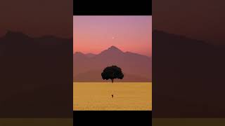 Sözler Açıklamada..