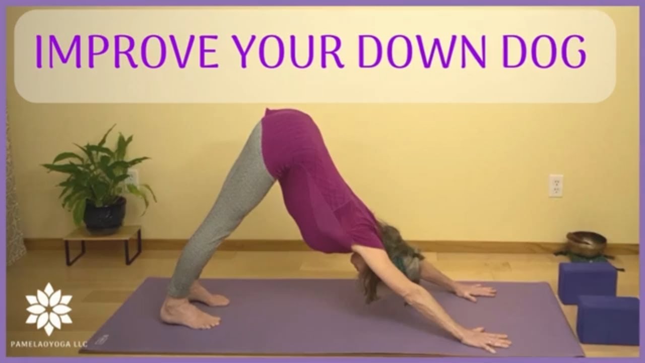 Downward Dog Pose Downward Facing Dog Do It Right! downwarddog 