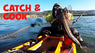 AMAZING DAY at Sonoma Coast:  Lingcod, Cabezon and Rockfish CATCH AND COOK