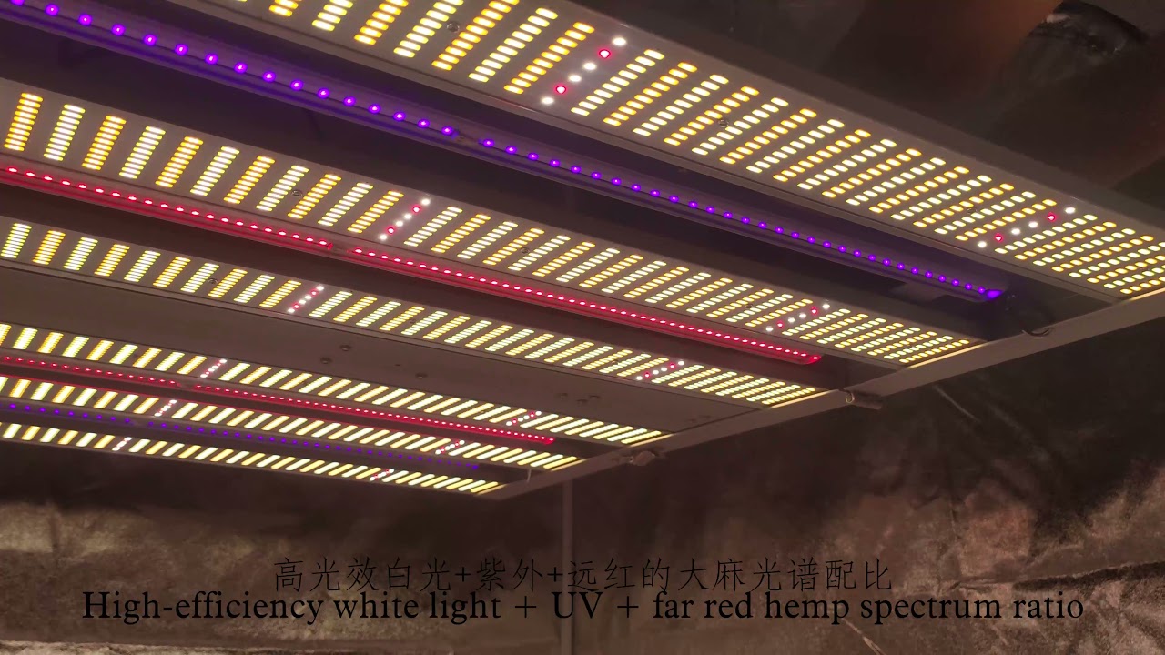 The best LM301B led grow light foldable UV and IR, and it is networked ...