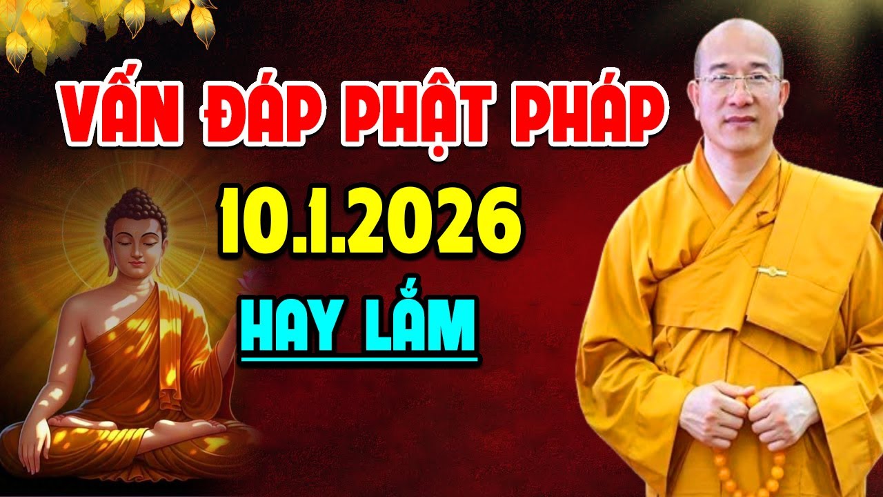Vấn Đáp Phật Pháp Ngày 10.1.2026 l Thầy Thích Trúc Thái Minh