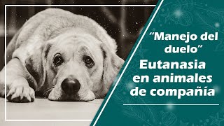 Manejo del duelo y eutanasia en mascotas