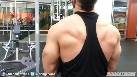 Creatine Monohydrate Loading While Intermittent Fasting & Back Workout @hodgetwins