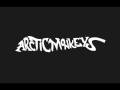 Arctic Monkeys - You Probably Couldn&#39;t See For The Lights But You Were Staring At Me (Lyrics)