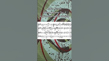 Cavatina / molto adagio (String Quartet No 3, ii) excerpt #shorts #classicalmusic #sheetmusic