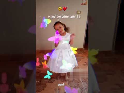 براحه علي الارض يا سنيوره احدث فديوهات التيك توك براحه ع الارض يا سنيوره