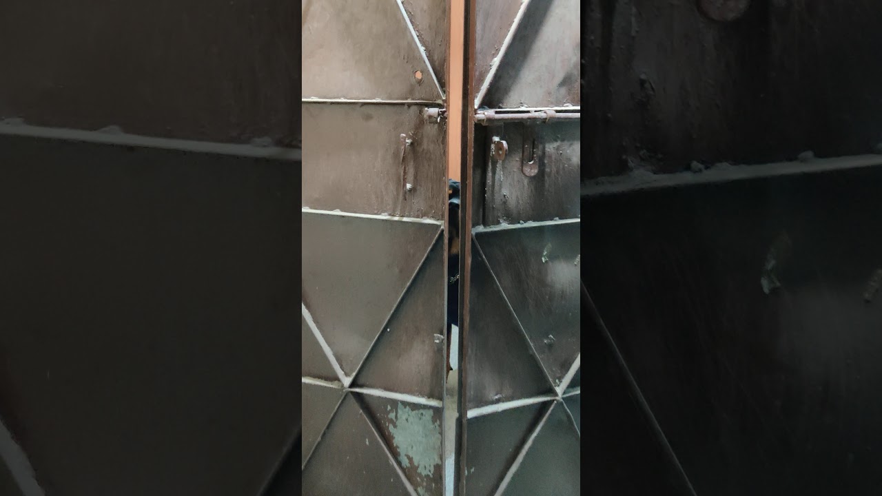 Cute Rottweiler opening the door on one call