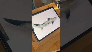 Watercolor Shark Tutorial #procreatebrushes #procreatetutorial