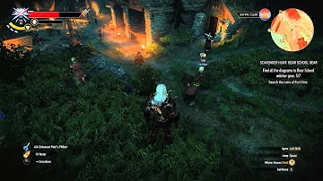 Witcher 3 Funny NPC walking glitch