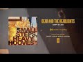 Dear And The Headlights "Happy In Love"