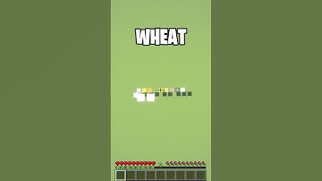 How many blocks you can fall in Minecraft