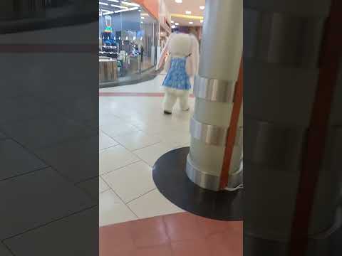 Трансляция. Новогодняя зайка. Раздача флаеров в ТЦ Сибирский Молл. Наши контакты 8 952 942 1213