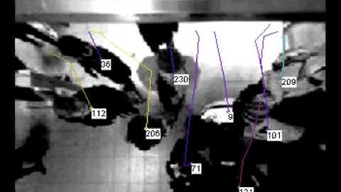 Brickstream-High Volume.avi