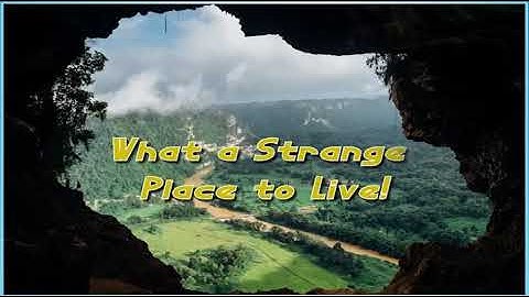 Excel 9. Module 3. What z Strange Place to Live!