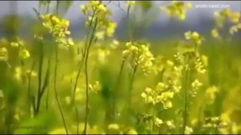 مقطع رائع ومبهر من سورة الفرقان للشيخ عبد الباسط عبدالصمد رحمة الله عليه