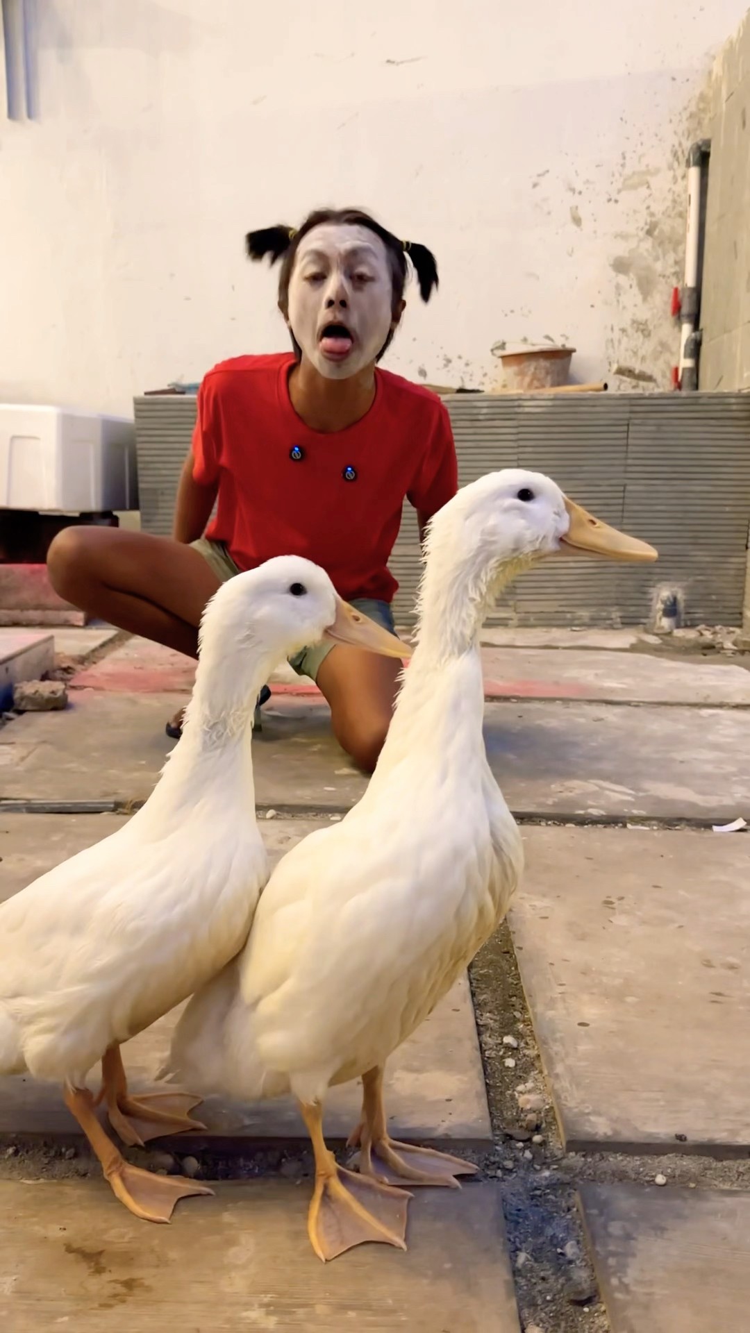 Main Bebek Bareng Alanna