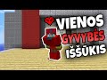 Laimėjau Bedwars'us su VIENA GYVYBE