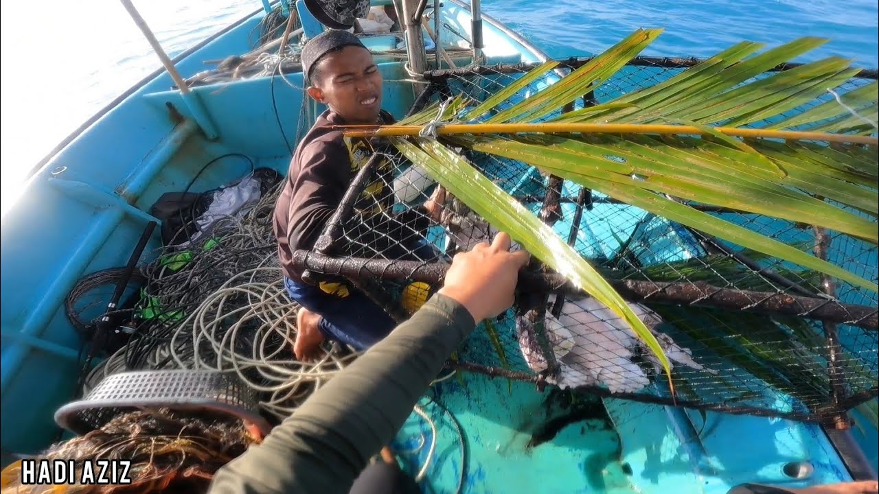 TARIK BUBU SOTONG KATAK & MEGENJUT  AYA MUSIM GELOMBANG