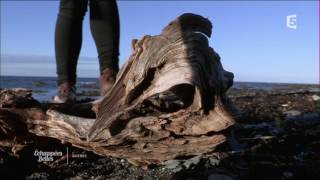 Québec, au fil du Saint Laurent - Échappées belles