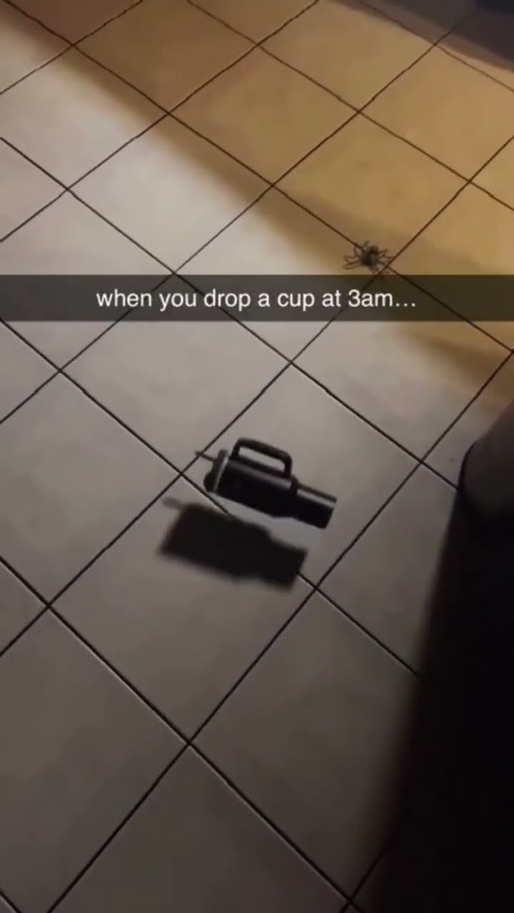 When you drinking some at 3 am and that prvnci catch you (@4d_buildsss)