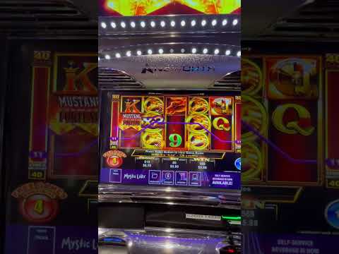 Going through the multipliers on Prosperity Link #casino #lifestyle #casinolife