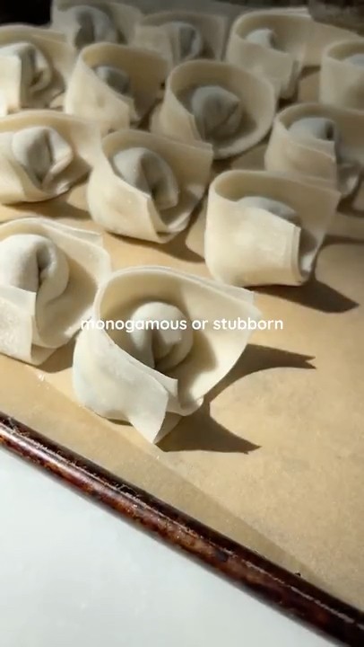 Shanghai Pork and Bok Choy Wontons