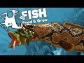 Giant Snakehead Eats Snapping Turtle! - Feed and Grow Fish Gameplay