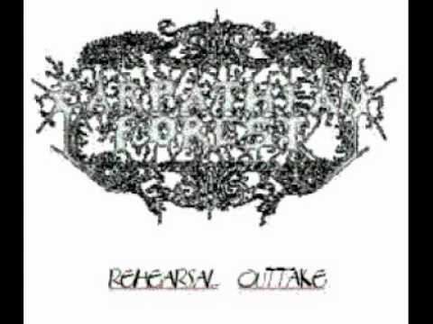 Carpathian Forest - Rehearsal Tape Full ('92)