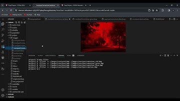Harvard Edx CS50 Final Project Video Demonstration