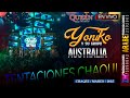 YONIKO Y SU AUSTRALIA en Vivo 2025 / Chaqui / R. de Tentaciones Chaqui / ZM PRO