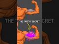 Why Your Biceps Disappear From The Front