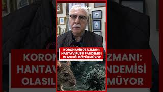 Koronavirüs Uzmanı Prof Dr. Tevfik Özlü: Hanta Virüsü Nedeniyle Bir Pandemi Ihtimali Gözükmüyor