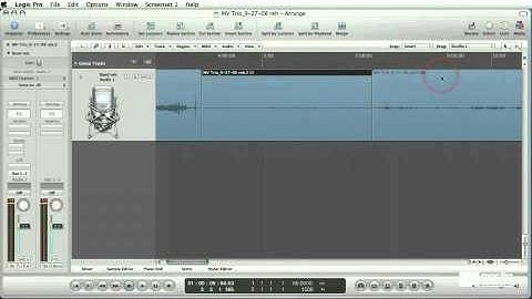 Logic 303 Marquee Tool & Shuffle