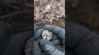Whoa - What Is It? #relics #minelabmanticore #metaldetecting #manticoreminelab #parkmetaldetecting