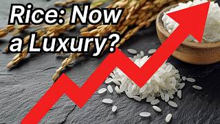 Japan’s Skyrocketing Rice Prices Explained