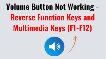 Volume Button Not Working - Reverse Function Keys and Multimedia Keys (F1-F12)