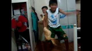 HARLEM SHAKE-NEIL AND MARCH