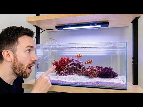 Building a 5-Gallon Bookshelf Reef for Clownfish & Anemones