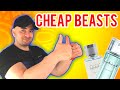 Top 5 Best Cheap and Long Lasting Men’s  Fragrances Colognes | Fragrance Review RASASI