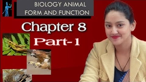 Class 6th, science, animals: forms and function (part.1) by rinki mam.. Must watch