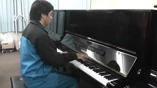 カールザイラー　ピアノ 40年前のピアノ カール・ザイラー(CARLSEILER) 神奈川ピアノ調律