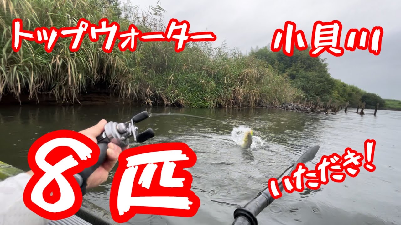 #トップウォーター #カヤックフィッシング#bassfishing #小貝川バス釣り#fishing #ロングp#グランパ#バグリー#津波ルアーズ#ヘドン#ビックバド
