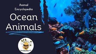 Animal Encyclopedia - Ocean Animals screenshot 5