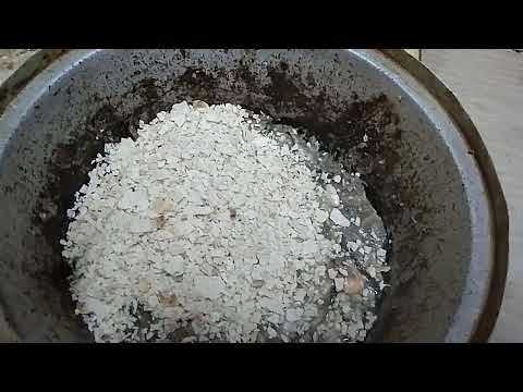 بط ١٠ طبخ سمك البط